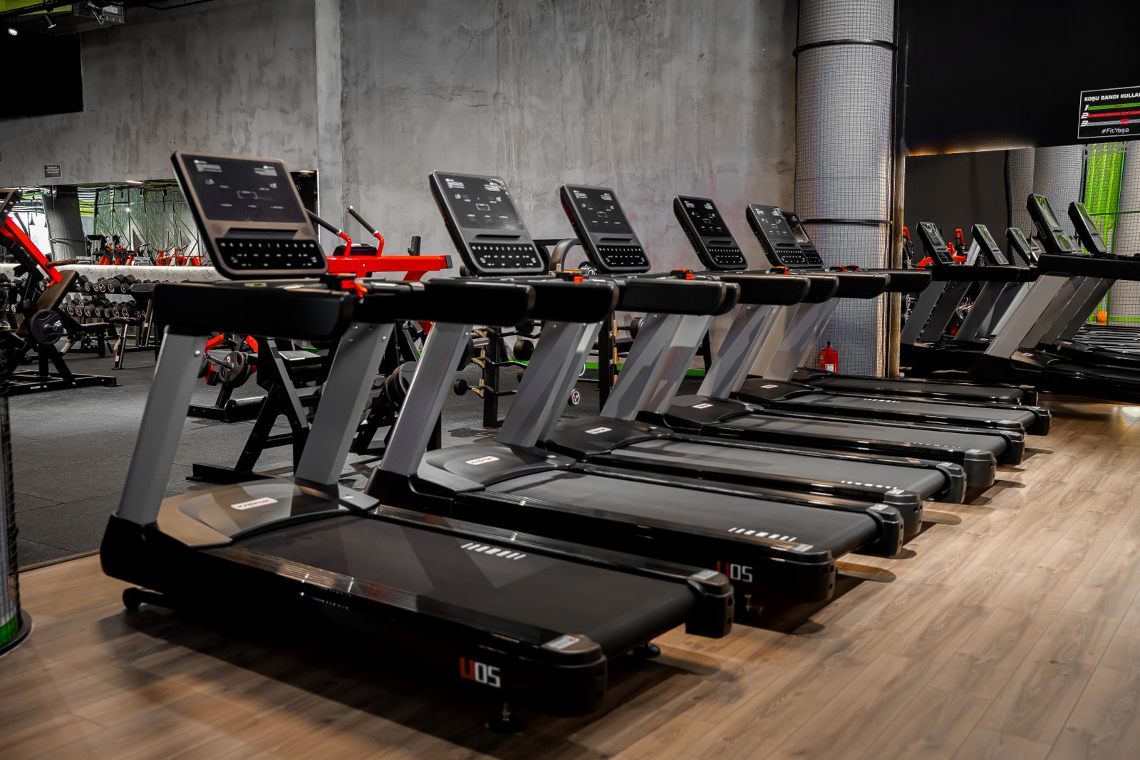 Mustang Gym Projesi