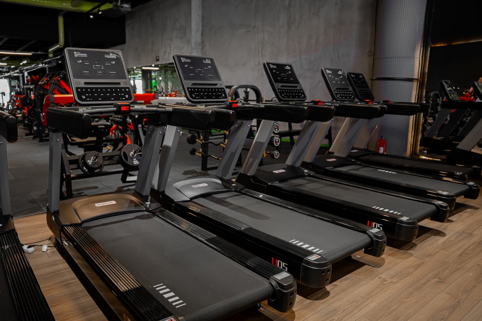 Mustang Gym Projesi