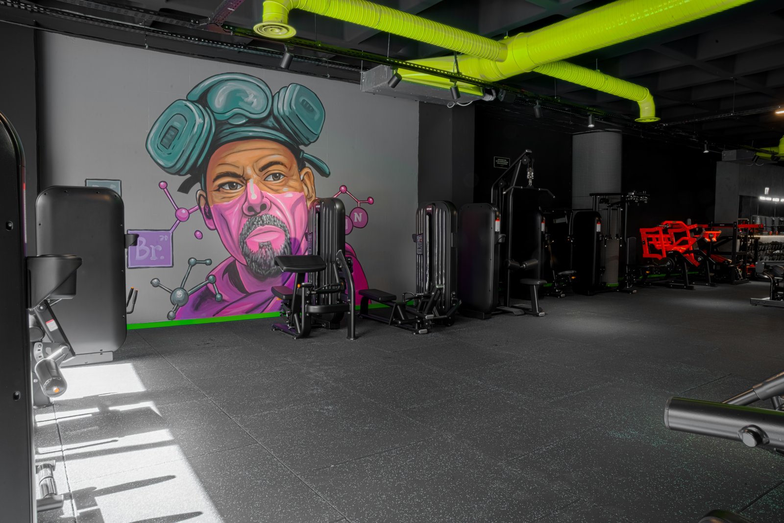 Mustang Gym Projesi